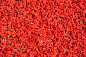 Ningxia Specialty